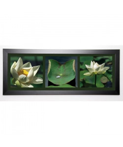 PINSARD LAURENT Image encadrée Lotus blancs 40x102 cm Vert