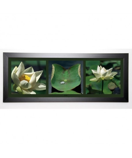 PINSARD LAURENT Image encadrée Lotus blancs 40x102 cm Vert