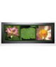 PINSARD LAURENT Image encadrée Lotus 40x102 cm Multicolore