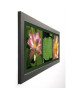 PINSARD LAURENT Image encadrée Lotus 40x102 cm Multicolore