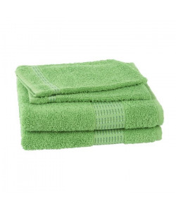 JULES CLARYSSE Lot de 2 serviettes  2 gants de toilette  15x21cm Jasmine  Vert