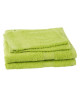 JULES CLARYSSE Lot de 2 serviettes  2 gants de toilette Élégance  Vert