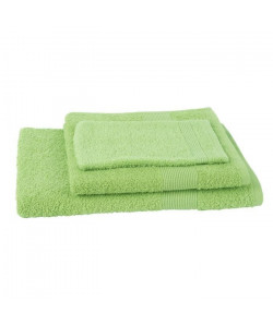 JULES CLARYSSE Lot de 1 serviette  1 drap de bain  1 gant de toilette Viva  Vert