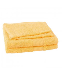 JULES CLARYSSE Lot de 2 serviettes  2 gants de toilette Viva  Jaune