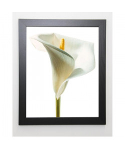 PRISMA Image encadrée Lily in Bloom I  47x57 cm  Blanc