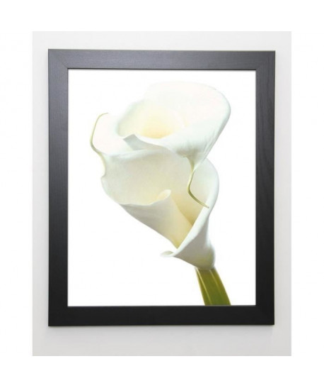 PRISMA Image encadrée Lily in Bloom II  47x57 cm  Blanc