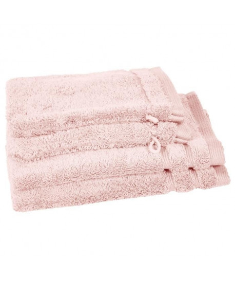 VENT DU SUD Lot 2 serviettes 30x50 cm  2 gants CALLISTO  Marron nacre