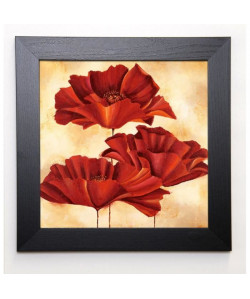 RABBETT Image encadrée Three Poppies I 37x37 cm Rouge