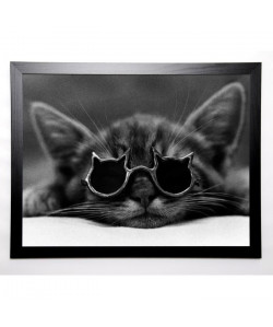 REX Image encadrée Cool Cat I 67x87 cm Gris