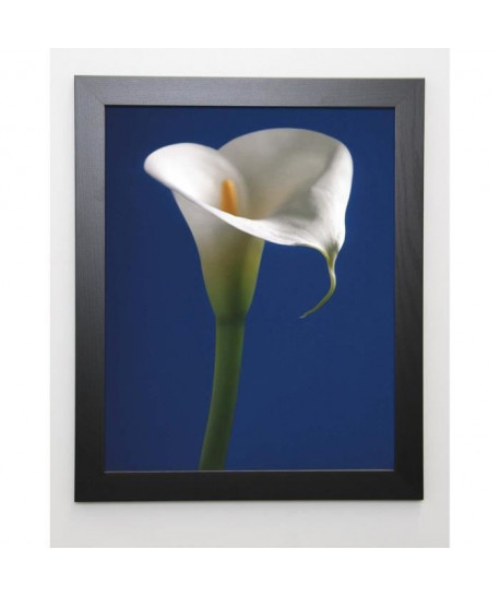 SEDGWICK Image encadrée Calla on Blue I  47x57 cm  Bleu