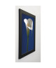 SEDGWICK Image encadrée Calla on Blue I  47x57 cm  Bleu