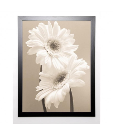 SHARP Image encadrée Two Daisies 67x87 cm Beige