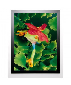 SHUMWAY Image encadrée Tree Frog with Orchid 67x87 cm Multicolore