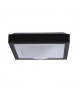 SQUARE Plafonnier pour salle de bain  L 27 x H 27 cm  Noir