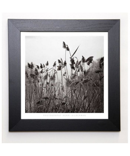 SILBERMAN Image encadrée Prospect Lake Grasses 37x37 cm Gris