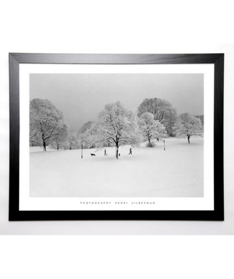 SILBERMAN Image encadrée Prospect Park Trees 67x87 cm Blanc