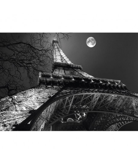 Affiche papier   Tour Eiffel, pleine lune    Carrara     50x70 cm