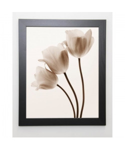 SMITH Image encadrée Composition with Three Tulips  47x57 cm  Beige