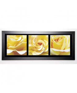 STERZIK Image encadrée Roses 40x102 cm Jaune