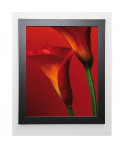 STRAW Image encadrée Red Calla Lilies  47x57 cm  Rouge