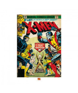 Affiche papier   XMen (100th issue)  Anonyme    60x80 cm