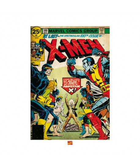 Affiche papier   XMen (100th issue)  Anonyme    60x80 cm