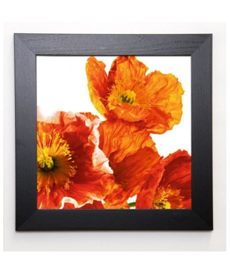 WEINSTEIN Image encadrée Poppies II 37x37 cm Orange