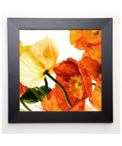 WEINSTEIN Image encadrée Poppies III 37x37 cm Orange