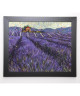 WESTWOOD Image encadrée Lavender Fields I  47x57 cm  Violet