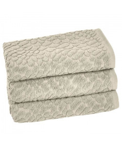 VENT DU SUD Lot de 3 serviettes THALIA  50x90 cm  Blanc lin