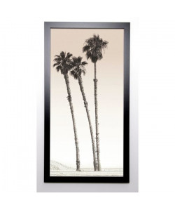 BRAUN STUDIO Affiche encadrée Californian Palm Trees 57x107 cm