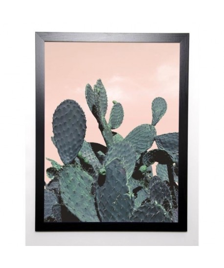 BRAUN STUDIO Affiche encadrée Cactus Raquettes 57x77 cm