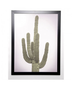 BRAUN STUDIO Affiche encadrée Cactus Totem 57x77 cm