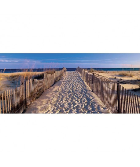 Affiche papier   Pathway to the Beach    Josef Sohm    50x100 cm