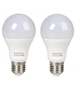 EXPERTLINE Lot de 2 Ampoules LED E27 standard 8 W équivalent a 60 W blanc froid