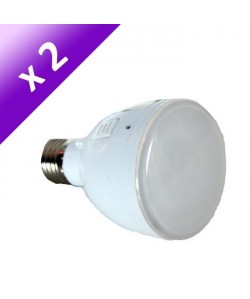 Lot de 2 Ampoules LED E27 4 W équivalent a 40 W blanc froid