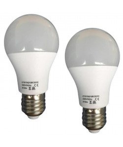Lot de 2 Ampoules LED E27 10 W équivalent a 100 W blanc chaud