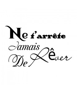 Stickers adhésif mural Ne t\'arrete jamais de rever  Feuille de vinyle calandré  Multicolore  90x55 cm