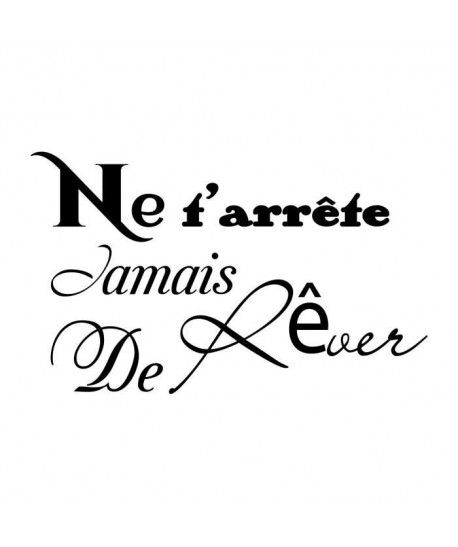 Stickers adhésif mural Ne t\'arrete jamais de rever  Feuille de vinyle calandré  Multicolore  65x40cm