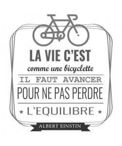 Stickers adhésif mural La vie c\'est comme une bicyclette  Multicolore  55x62cm