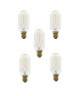 EXPERT LINE Lot de 5 ampoules a incandescence décorative E27 40 W compatibles variateur