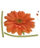 PLAGE Sticker déco  Gerbera orange1 Planche 70x100 cm