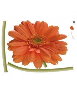 PLAGE Sticker déco  Gerbera orange1 Planche 70x100 cm