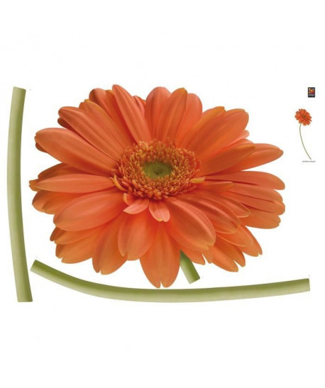 PLAGE Sticker déco  Gerbera orange1 Planche 70x100 cm