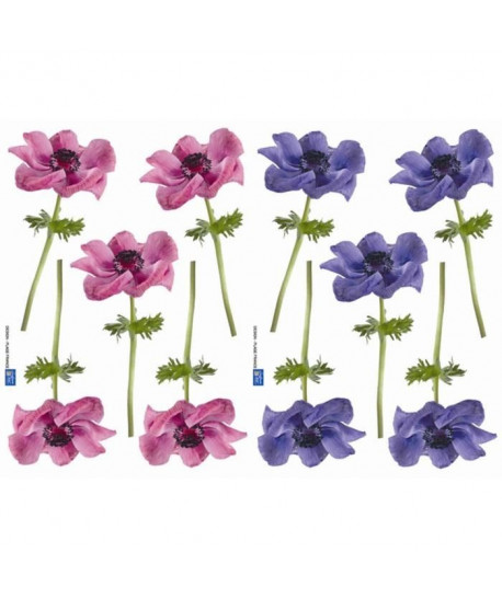 Lot de 2 planches de Stickers adhésif   Anemones   29,7 x 21 cm