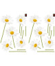 PLAGE Stickers adhésif mural Taille S  Marguerites2 planches 29,7 x 21 cm, divers motifs