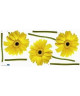 PLAGE Sticker déco  Gerbera jaune1 Planche 46x100 cm