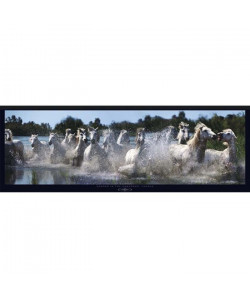 Affiche papier   Camargue Horses   Bloom   33x95 cm