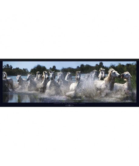 Affiche papier   Camargue Horses   Bloom   33x95 cm