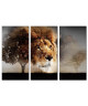 Tableau Déco Triptyque Lion dans la Savane  120x80 cm